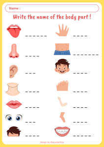 BODY PARTS WORKSHEET ANGGOTA TUBUH BAHASA INGGRIS Bahasa inggris