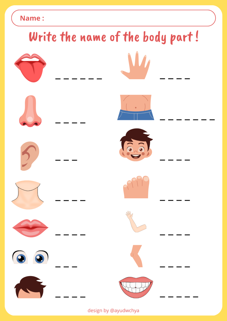 5 Rahasia Soal Bahasa Inggris Kelas 1 SD Tentang Part of Body yang Wajib Diketahui Orang Tua